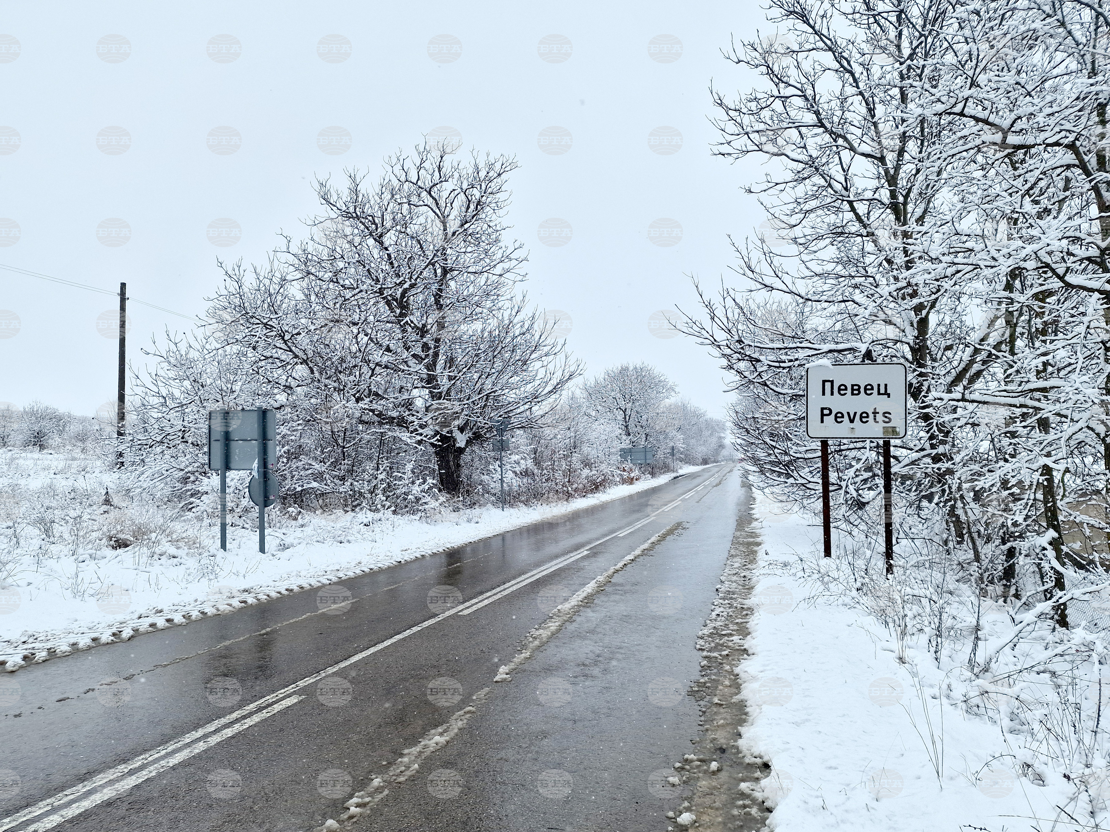 Движението по пътя Видин – Димово временно е в едната лента заради катастрофа