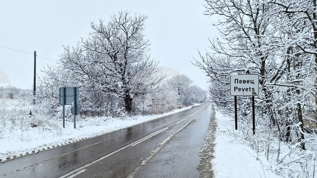 Движението по пътя Видин – Димово временно е в едната лента заради катастрофа