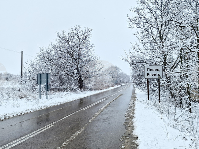 Движението по пътя Видин – Димово временно е в едната лента заради катастрофа