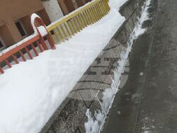 Снимка: Община Шумен