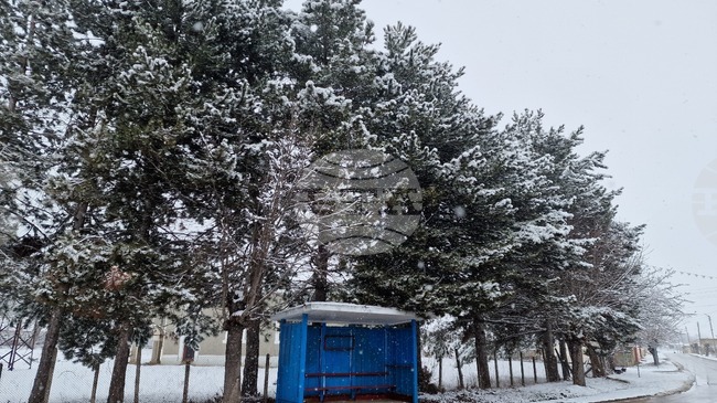 Пътищата в област Търговище са мокри, но почистени и обработени против заледяване, съобщиха от ОПУ