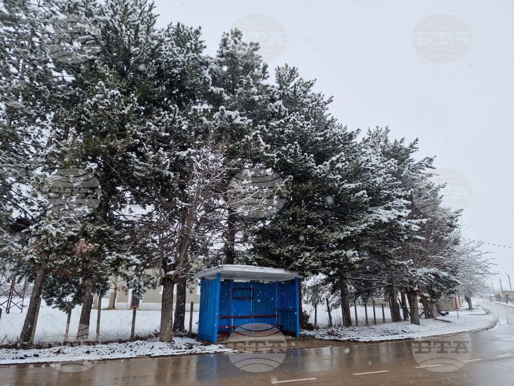 Пътищата в област Търговище са мокри, но почистени и обработени против заледяване, съобщиха от ОПУ