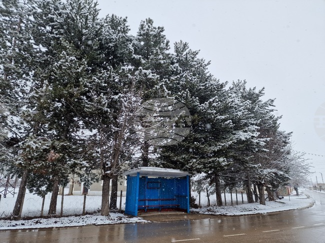 Пътищата в област Търговище са мокри, но почистени и обработени против заледяване, съобщиха от ОПУ