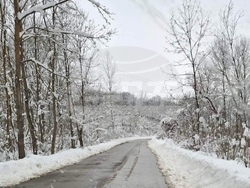 Снимка: Община Шумен