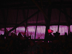 Netherlands Soccer Champions League