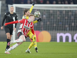 Netherlands Soccer Champions League