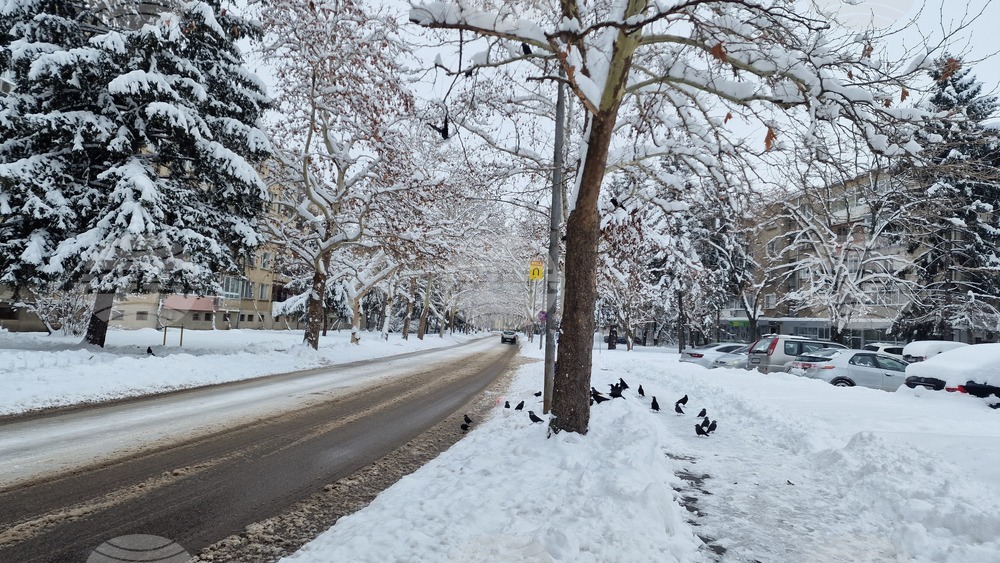 Обстановката в Разградско остава усложнена заради снеговалеж и силен вятър, съобщиха от областната администрация