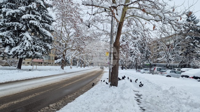 Обстановката в Разградско остава усложнена заради снеговалеж и силен вятър, съобщиха от областната администрация