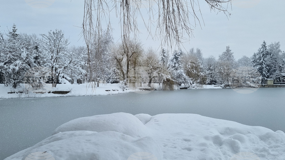 Най-ниската температура от началото на зимата и най-дебела снежна покривка отчитат метеоролозите в Търговище 