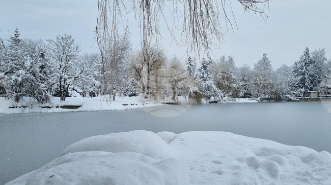 Най-ниската температура от началото на зимата и най-дебела снежна покривка отчитат метеоролозите в Търговище 