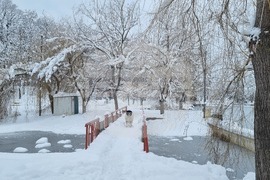 Търговище - замръзнало езеро - ниски температури