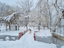 Търговище - замръзнало езеро - ниски температури