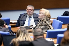 Парламент - заседание