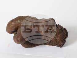 Творба на Васка Емануилова. Снимка: Галерия „Васка Емануилова“