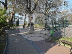 Лом-Дунавски парк -2