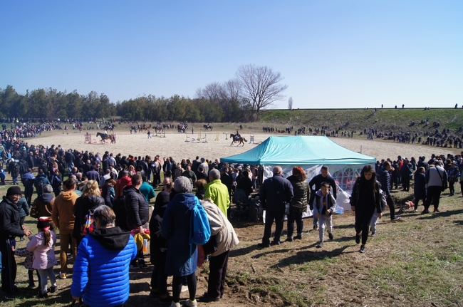 Община Добричка: Малка Смолница посреща Тодоровден с новоучреден клуб по конен спорт