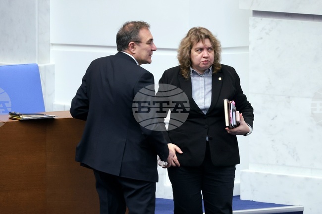 Socialist Party Member Gutsanov: Questioning Parliament Chair Kiselova's Post Is Unwise