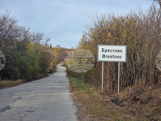 За пръв път в ловешкото село Брестово на Сирни заговезни ще има възстановка на обичая „Уруглюване“