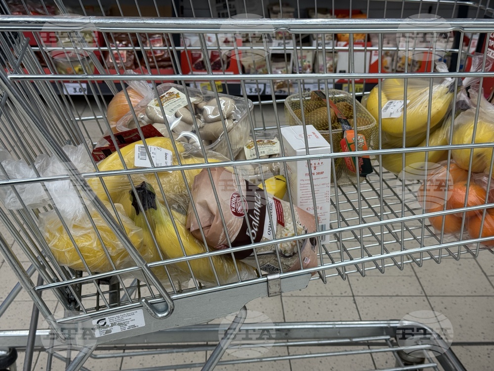 През април търговският оборот нараства с 2,4 на сто спрямо година по-рано, по данни на НСИ