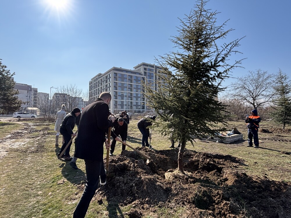 В Пловдив започна пролетната залесителна кампания