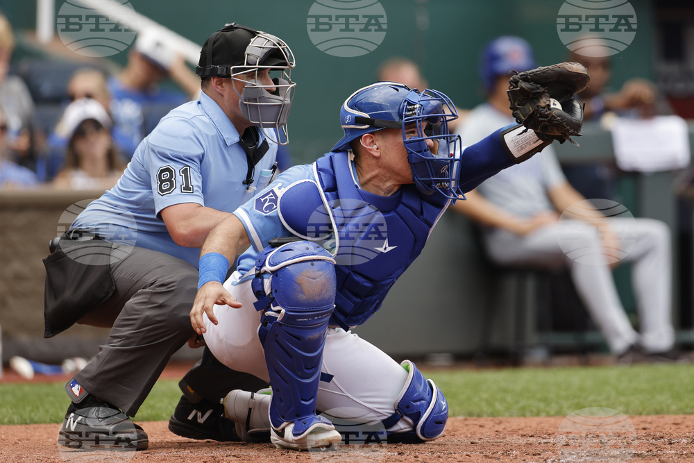 Robot Umpires What to Know Baseball