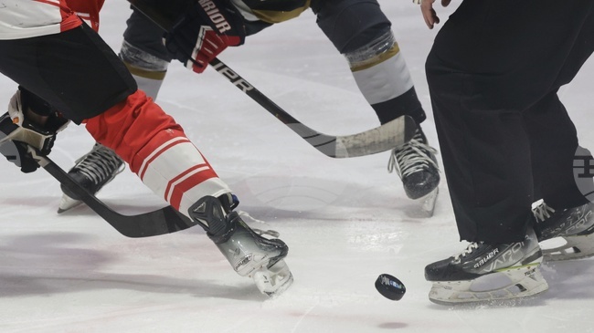 България постигна категорична победа срещу Босна и Херцеговина на световното първенство по хокей на лед в дивизия III, група "А"