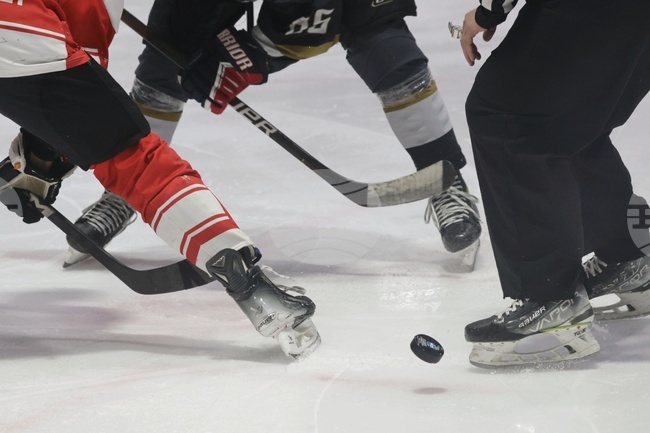 България приключи с убедителна победа и сребърните медали на световното първенство по хокей на лед в дивизия III, група "А" в София