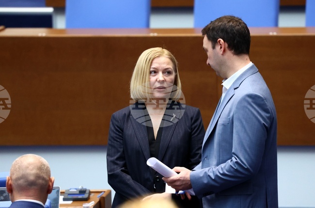 Constitutional Court’s Ruling Gives Rise to More Questions than Answers - Opposition Co-Floor Leader Iordanova