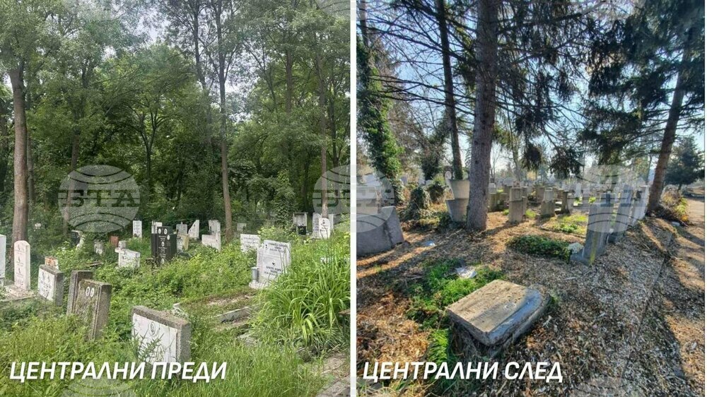 Завършено е почистването на трите големи гробищни парка в София, съобщи кметът Васил Терзиев