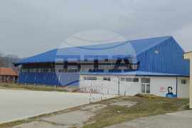 Сърбия - Босилеград