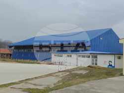 Сърбия - Босилеград