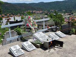 Сърбия - Босилеград