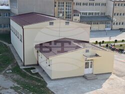 Сърбия - Босилеград