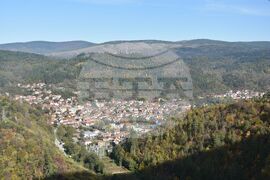 Сърбия - Босилеград