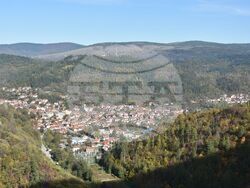 Сърбия - Босилеград