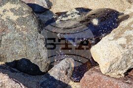 Созопол - плаж - замърсяване