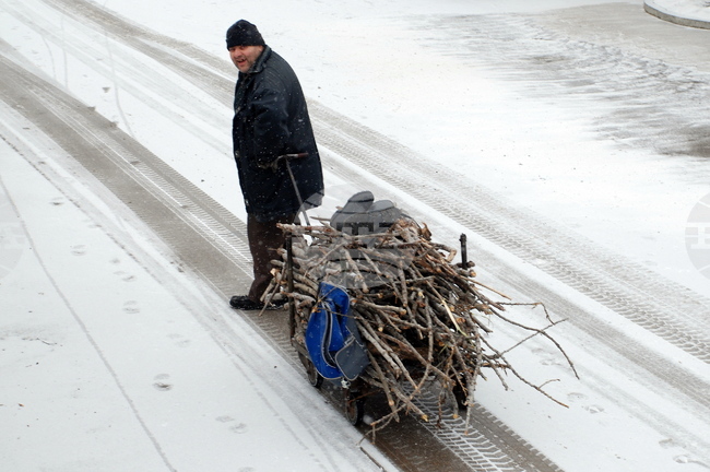 На пет места в Монтанско са открити незаконно добити дърва, случаите зачестяват