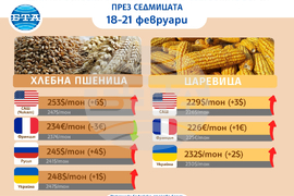 Цени на основни зърнени стоки по световните борси и на ССБ през седмицата 18 - 21 февруари