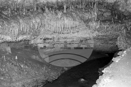 Пещера „Бисерна“ в Природен парк „Шуменско плато“