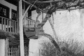 Девически манастир „Въведение Богородично“, известен като Метоха