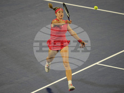 Emirates Tennis Championships
