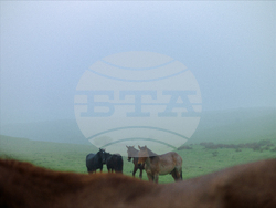 Още осем български документални творби ще имат премиера на 29-ия „София филм фест“, снимка – „Арт фест“