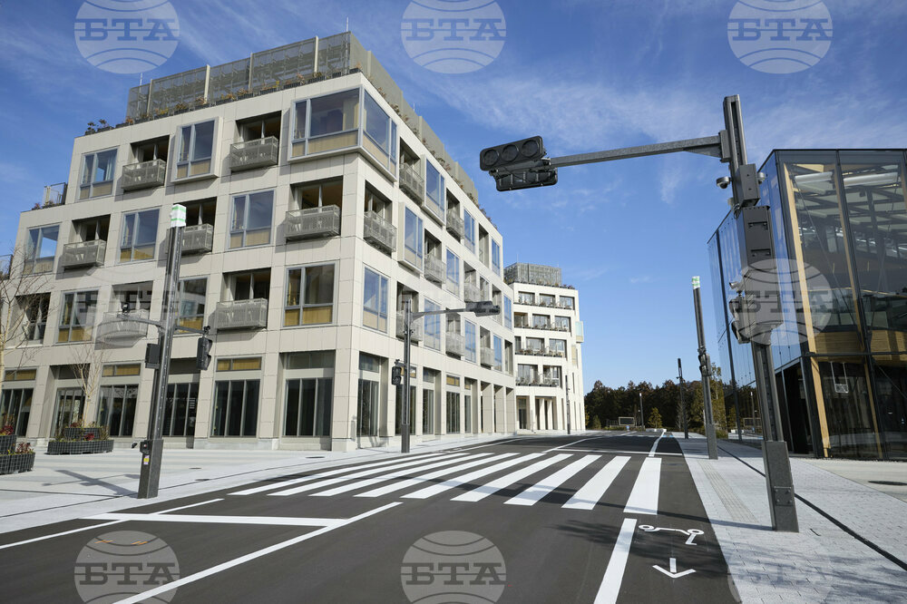 Japan Toyota's City
