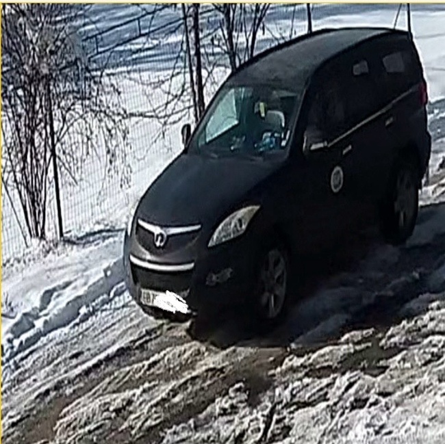 Стрелба от неизвестни лица рани куче от Общинския приют в Русе