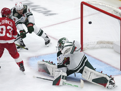 Wild Red Wings Hockey