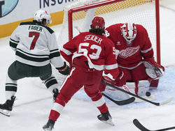 Wild Red Wings Hockey