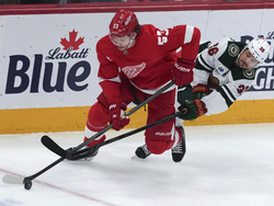 Wild Red Wings Hockey