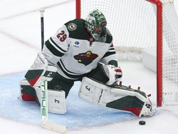 Wild Red Wings Hockey