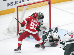 Wild Red Wings Hockey