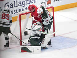 Wild Red Wings Hockey